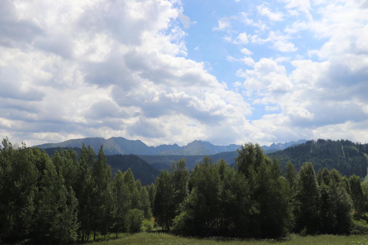 Apartamenty Pardalowka 50 Zakopane Exteriör bild